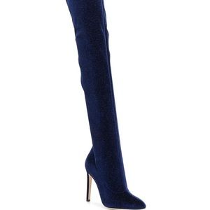 Guiseppe Zanotti Over the knee Deena boots